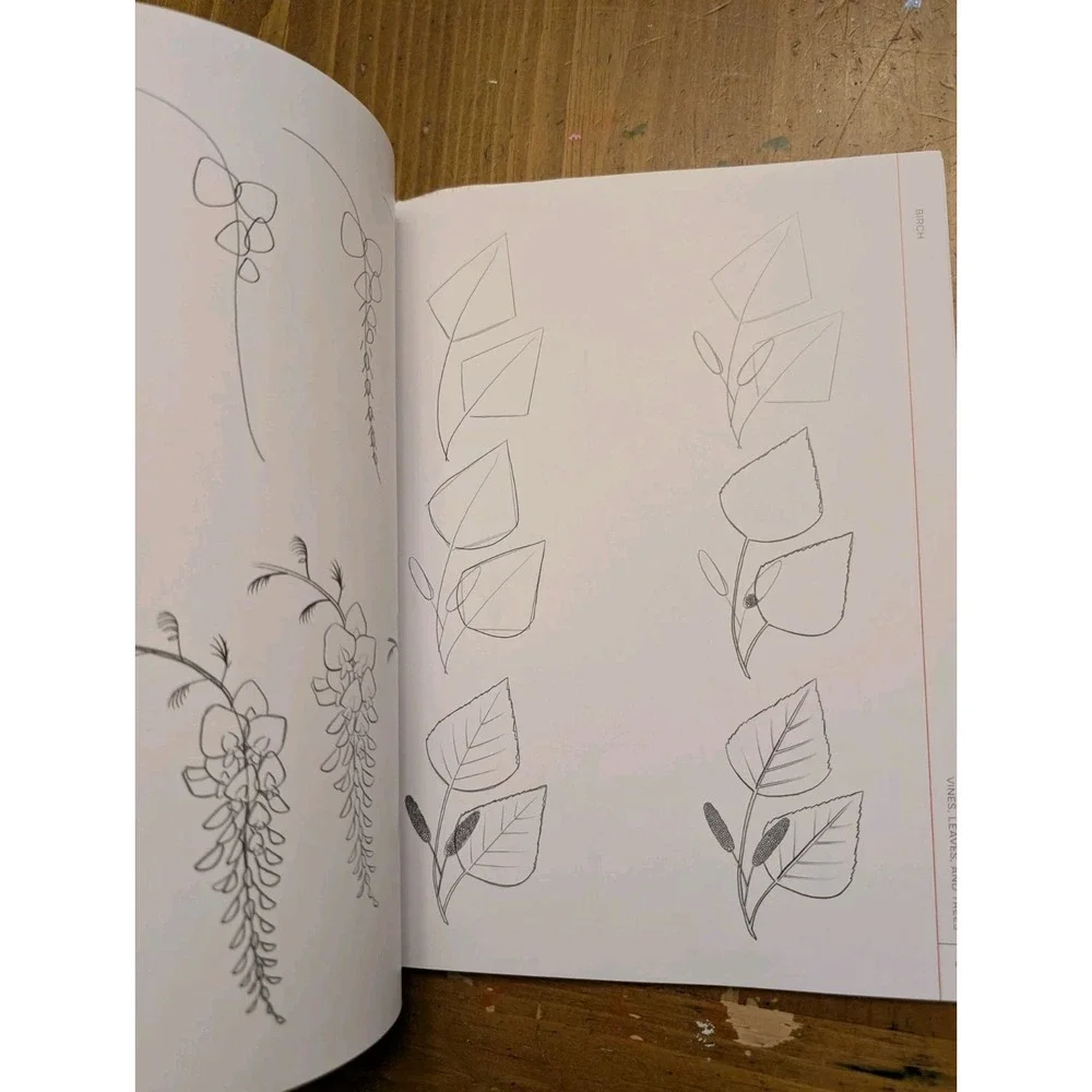 Quarry Draw Like an Artist: 100 Flowers & Plants Step-by-Step Line Drawing